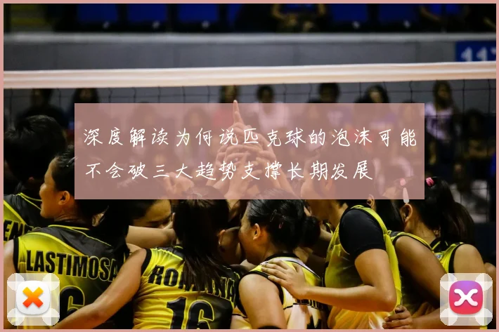 深度解读为何说匹克球的泡沫可能不会破三大趋势支撑长期发展