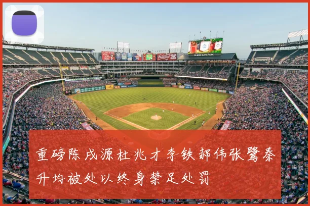 重磅陈戌源杜兆才李铁郝伟张鹭秦升均被处以终身禁足处罚