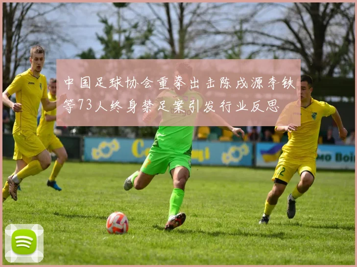 中国足球协会重拳出击陈戌源李铁等73人终身禁足案引发行业反思