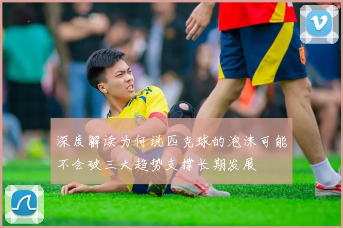 深度解读为何说匹克球的泡沫可能不会破三大趋势支撑长期发展