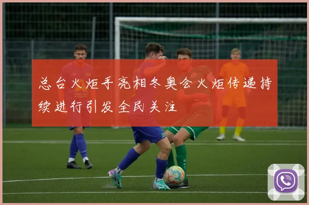 总台火炬手亮相冬奥会火炬传递持续进行引发全民关注